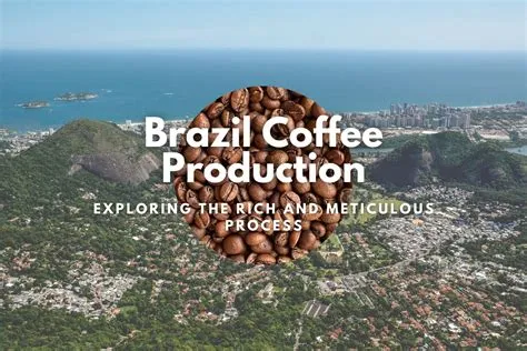 Conjuração Carioca: A Plot For Freedom Fueled By Brazilian Coffee and Enlightenment Ideals